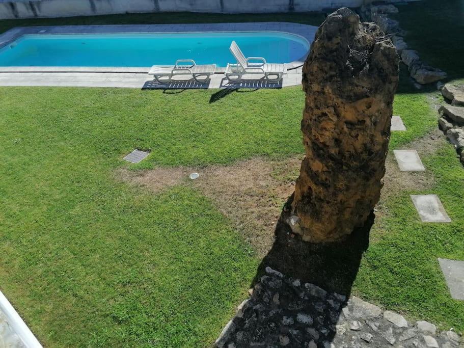 Amazing Lodge By The Ocean - Fully Equipped! Ericeira Zewnętrze zdjęcie